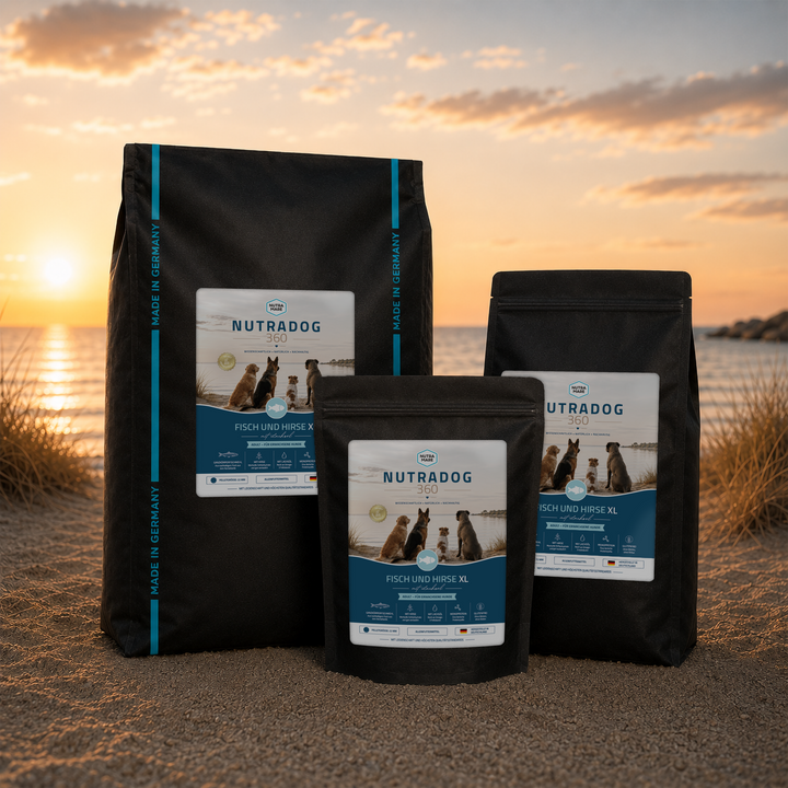 Nutradog360 Fisch und Hirse XL
