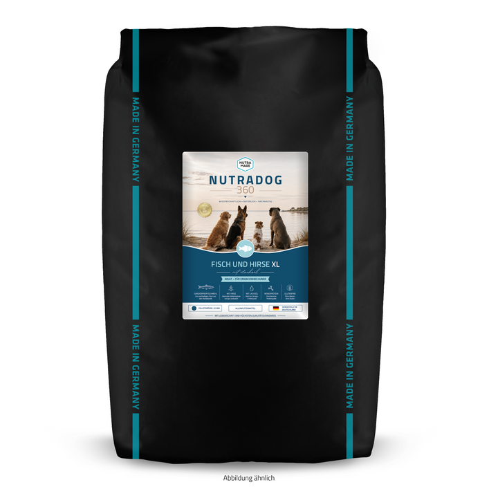 Nutradog360 Fisch und Hirse XL