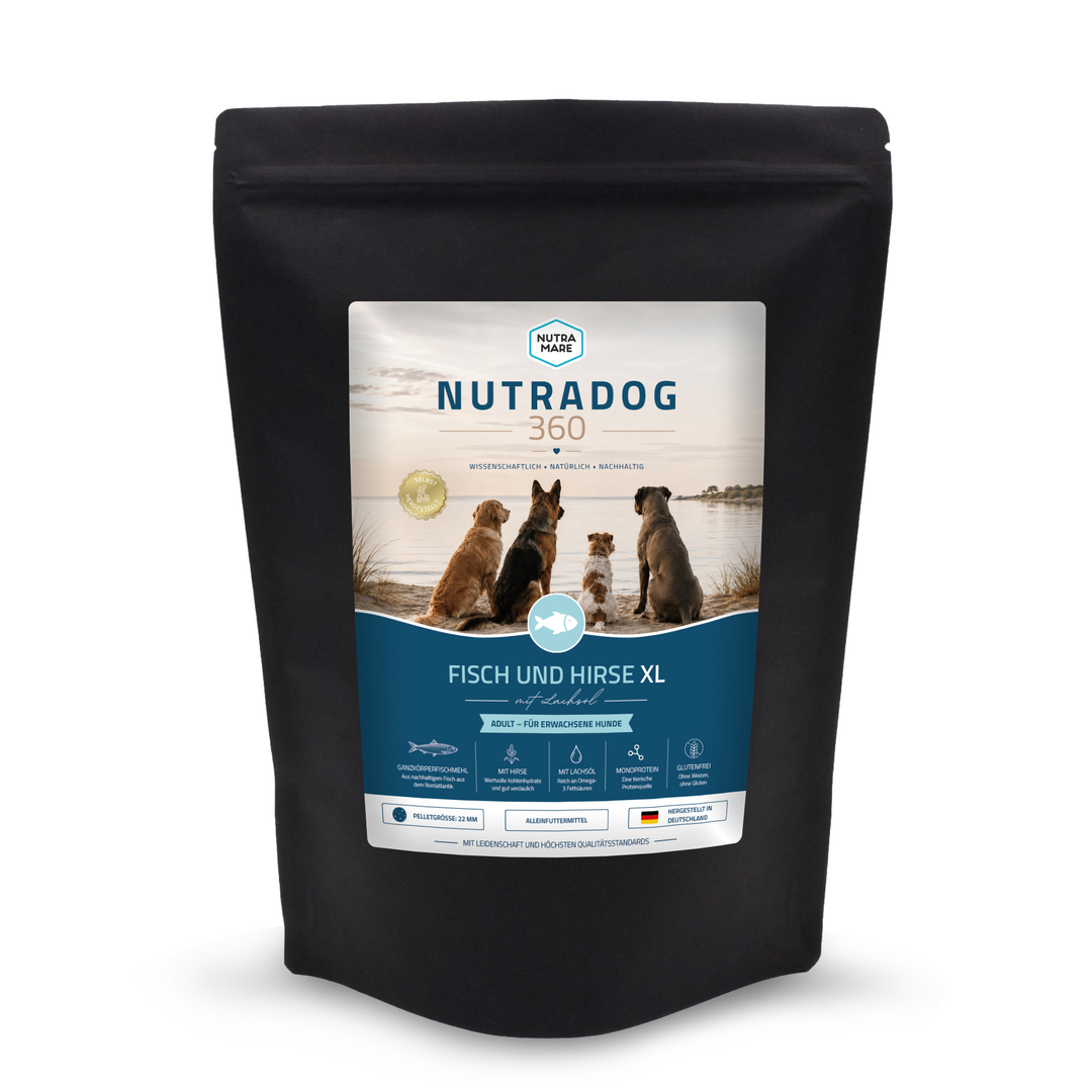 Nutradog360 Fisch und Hirse XL