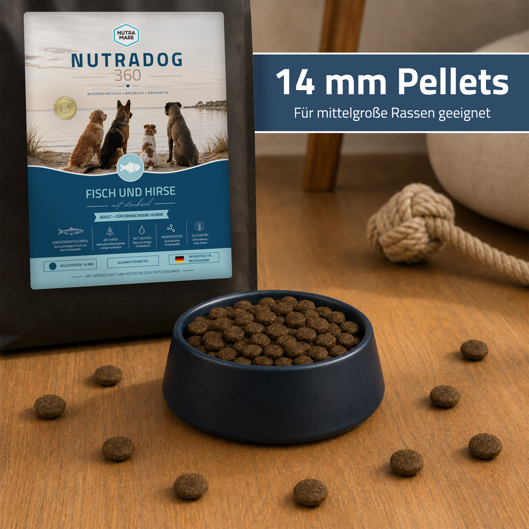 Nutradog360 Fisch und Hirse