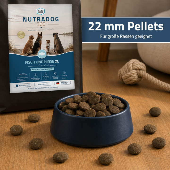 Nutradog360 Fisch und Hirse XL