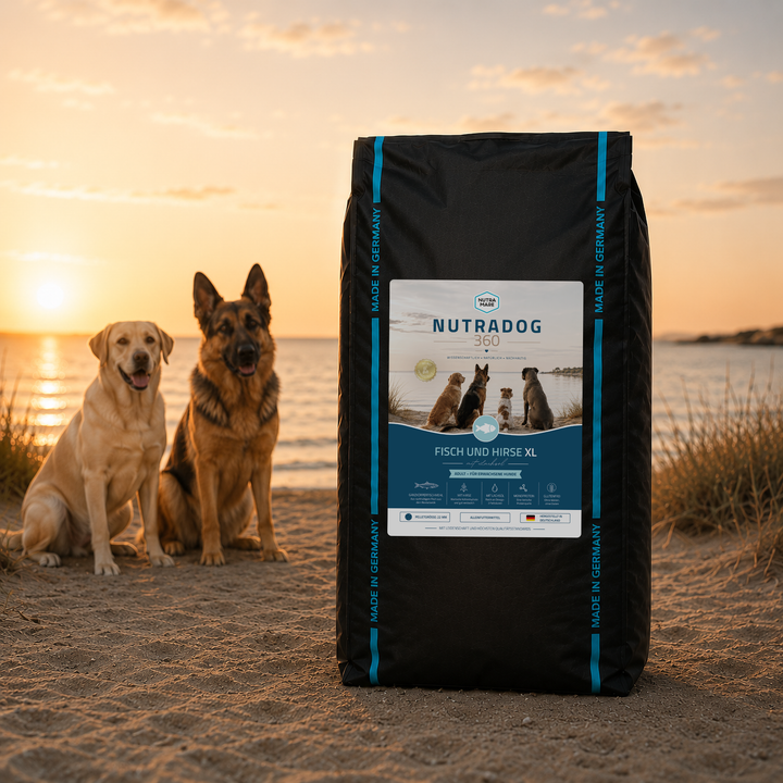 Nutradog360 Fisch und Hirse XL